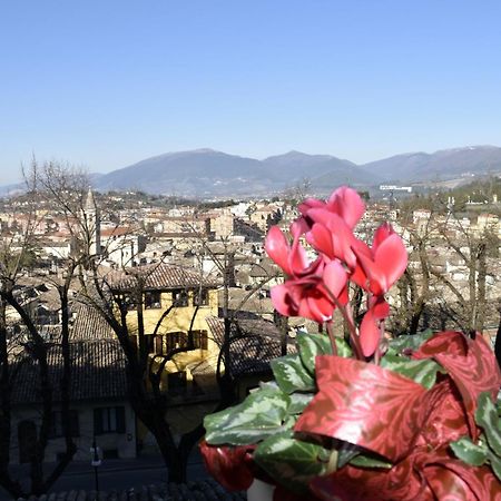 Le Mura Antiche سبوليتو المظهر الخارجي الصورة